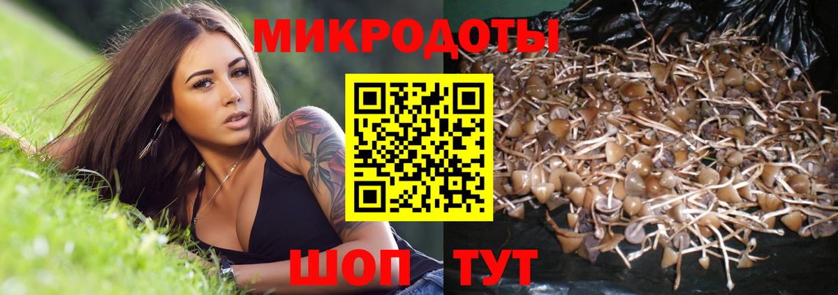 Галлюциногенные грибы ЛСД Горно-Алтайск