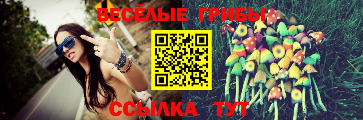 Горно-Алтайск  Галлюциногенные грибы GOLDEN TEACHER  Вход с VPN 